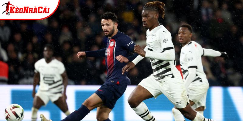 Rennes vs PSG sẽ diễn ra 1 chiều Rennes vs PSG sẽ diễn ra 1 chiều