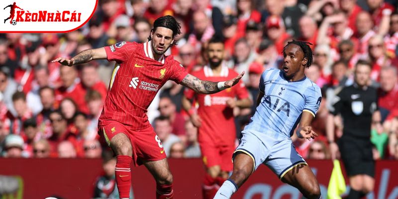 Thành tích so tài giữa Liverpool vs Tottenham Thành tích so tài giữa Liverpool vs Tottenham
